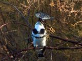 dscn4348.jpg