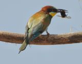 dscn5182.jpg
