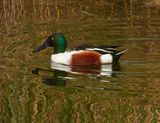 dscn5284.jpg