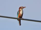 dscn5587.jpg