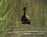 dscn5626.jpg