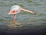 dscn5636.jpg