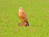 dscn5723.jpg