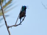dscn5819.jpg