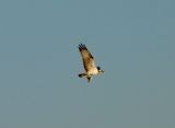 dscn6016.jpg
