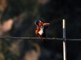 dscn6163.jpg
