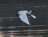 dscn6278.jpg