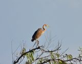 dscn6552.jpg