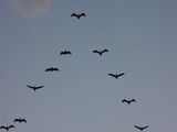 dscn7339.jpg