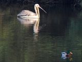 dscn7744.jpg