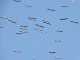 dscn8479.jpg