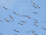dscn8494.jpg
