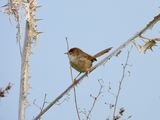dscn8818.jpg