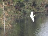 dscn8952.JPG