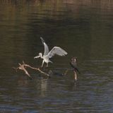 E7A3B1BC-A87F-4D86-9D3C-26F0711DB5F4.JPG