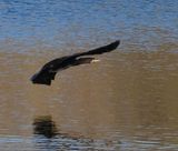 IMG_3268.jpg