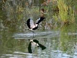 IMG_3372.JPG