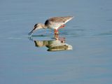 IMG_3377.JPG