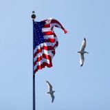 IMG_3818.JPG