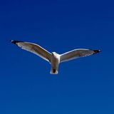 IMG_3819.JPG