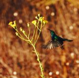 IMG_4121.JPG