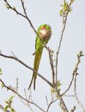 IMG_7295.JPG