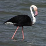 IMG_8083.JPG