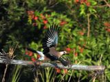 IMG_7173.JPG