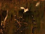 IMG_7633.JPG
