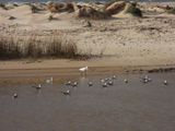 IMG_7614.JPG