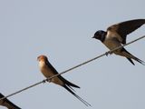 IMG_9149.JPG