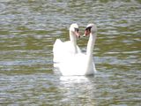 IMG_0166.JPG