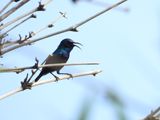 IMG_1812.JPG