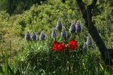 DSC07224.JPG