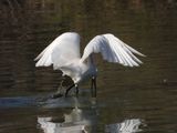 IMG_4159.JPG
