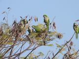 IMG_5715.JPG