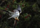 IMG_6363.JPG