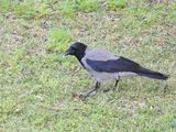 IMG_6684.JPG