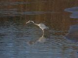 IMG_7696.JPG