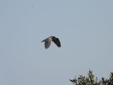 IMG_7671.JPG