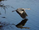IMG_8959.JPG