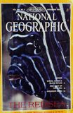 Entire Red Sea expedition Nov. 1993