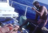 1978 Skin Diver Magazine editor Jack McKenney and wife Sari Gaines while filming Gods Other World the Red Sea. 