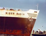 Niger basin on Gordon reef before survey dive