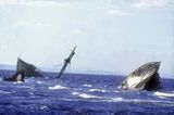 Abu Nuhas reef, ships graveyard 1981