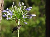IMG_0281.JPG