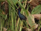 IMG_2248.JPG