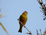 IMG_3892.GIF