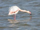 IMG_3843.JPG