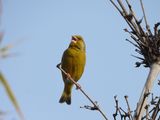 IMG_3759.JPG